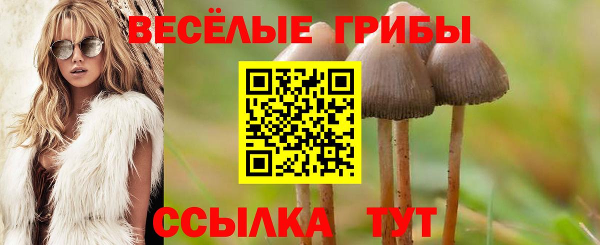 Псилоцибиновые грибы Magic Shrooms Новодвинск